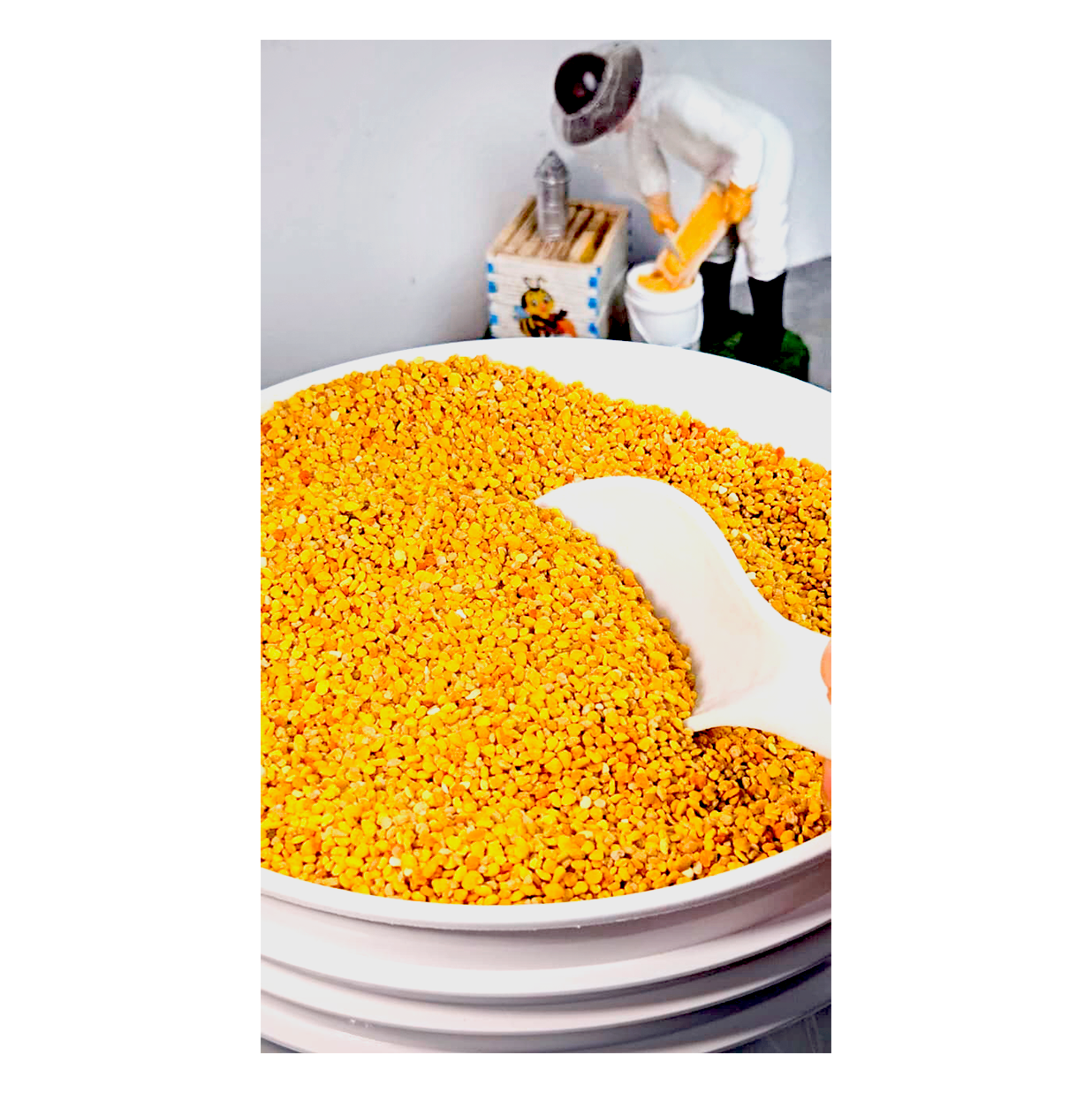Polen de Abeja 11 kg