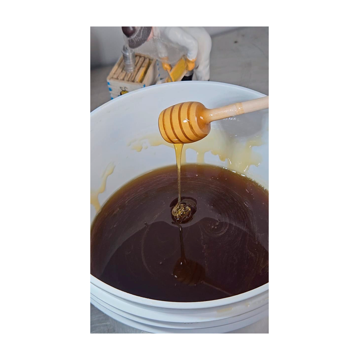 Miel Pura de los Bosques Montanos 5.6 kg